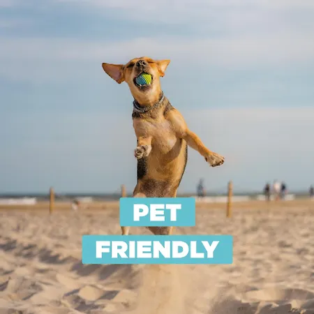 Apartment Oleandro 2